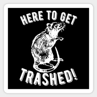 Rat Here To Get Trashed! Sticker